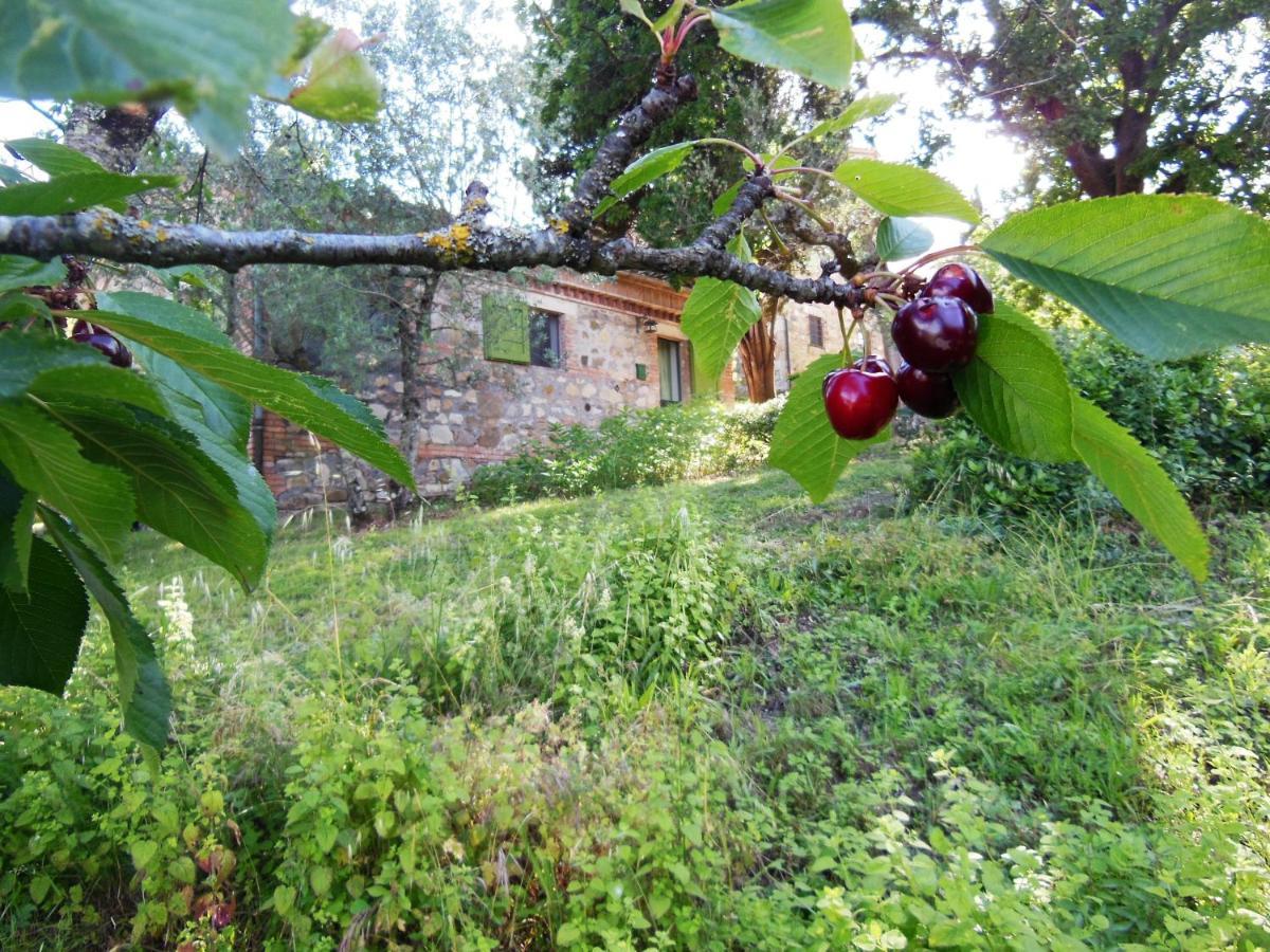 La Fontaiola Villa Le Piazze Luaran gambar