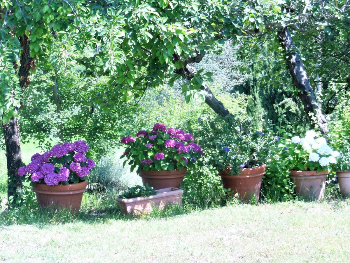 La Fontaiola Villa Le Piazze Luaran gambar