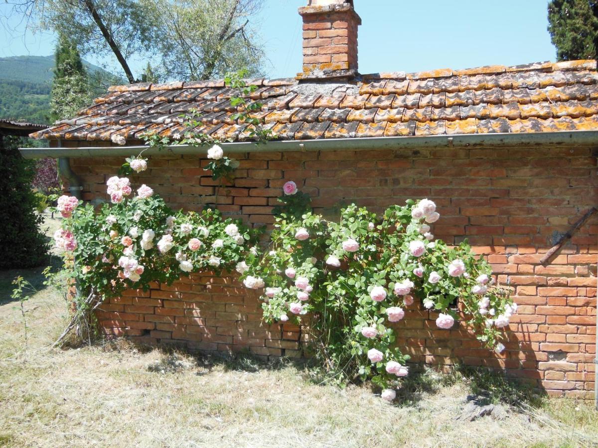 La Fontaiola Villa Le Piazze Luaran gambar