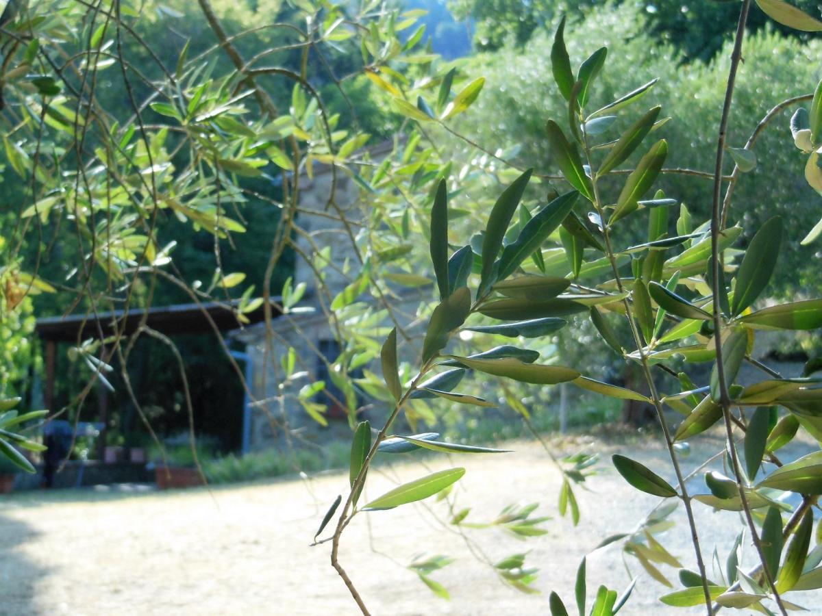 La Fontaiola Villa Le Piazze Luaran gambar