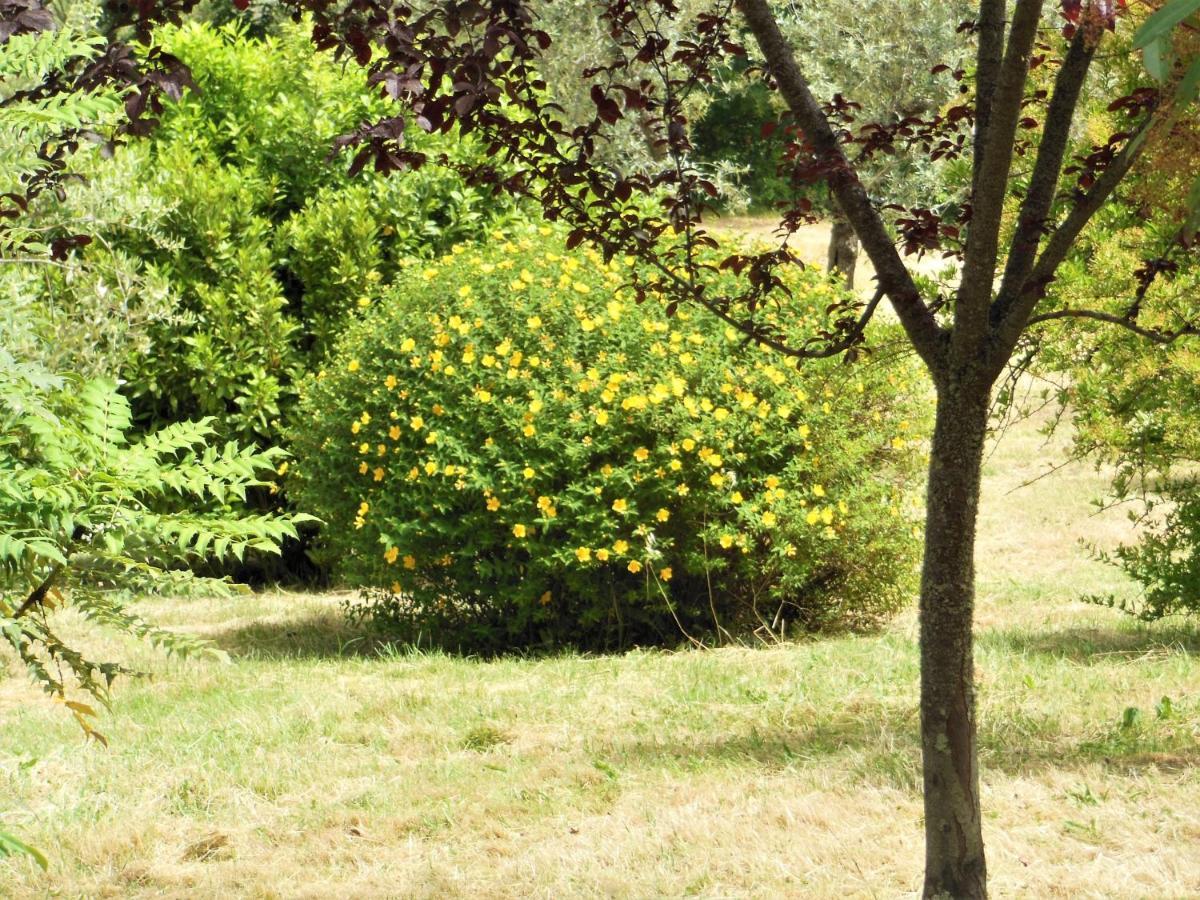 La Fontaiola Villa Le Piazze Luaran gambar