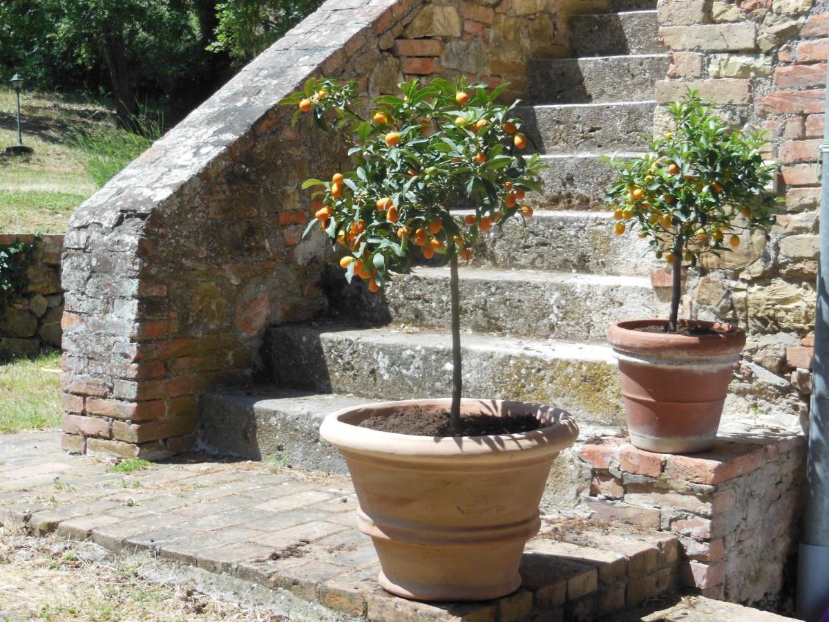 La Fontaiola Villa Le Piazze Luaran gambar